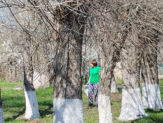 photo 30 04 2025 01