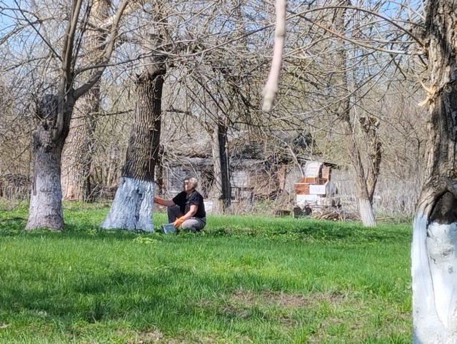 photo 30 04 2025 04